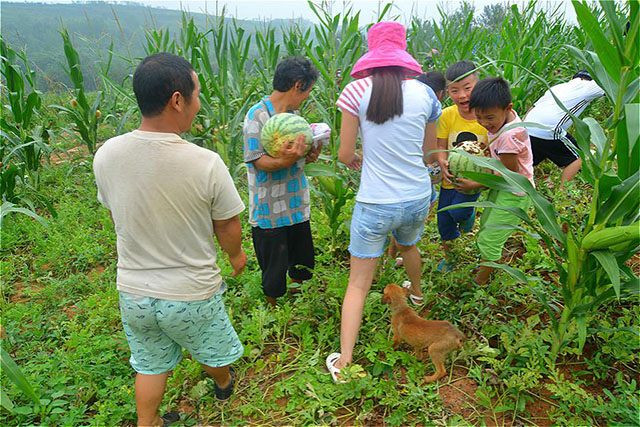 1544335819910730.jpg 2.jpg