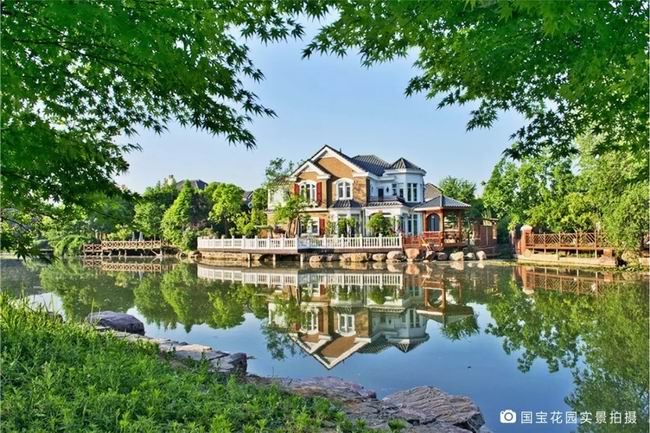 1548234650242464.jpg 640.webp (1).jpg