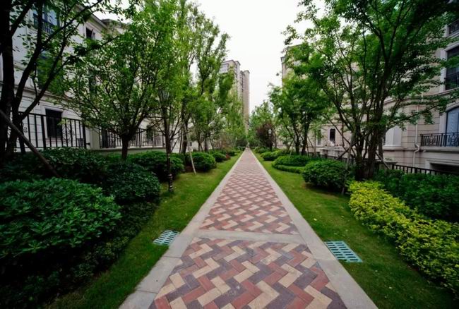 1548314678201972.jpg 640.webp (50).jpg